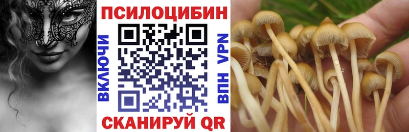 закладка  Шарыпово  Псилоцибиновые грибы GOLDEN TEACHER 